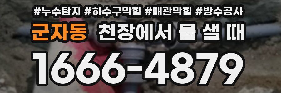 군자동 천장에서 물 샐 때
