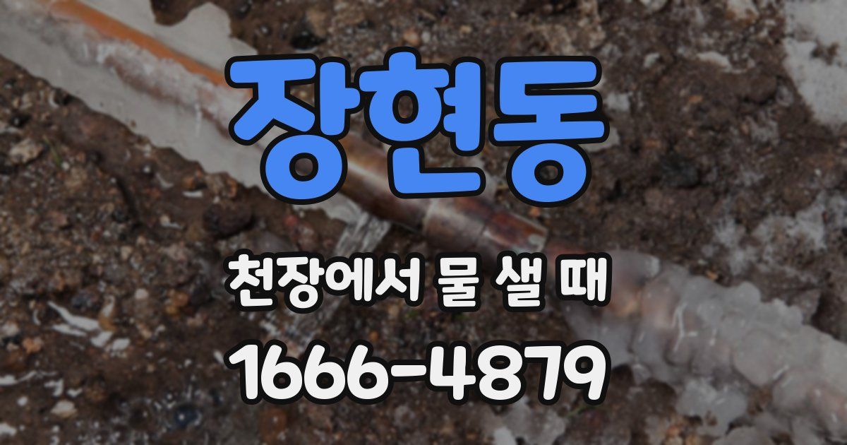 장현동 천장에서 물 샐 때