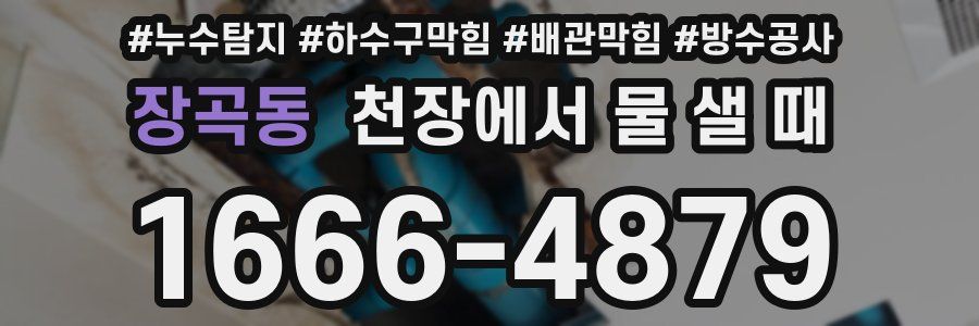 장곡동 천장에서 물 샐 때