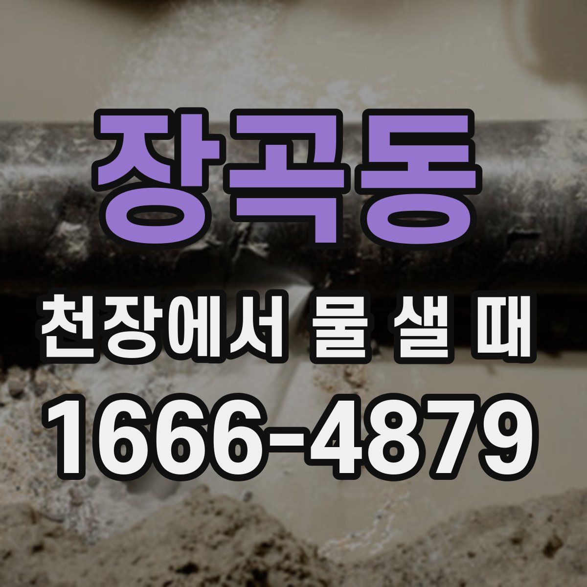 장곡동 천장에서 물 샐 때