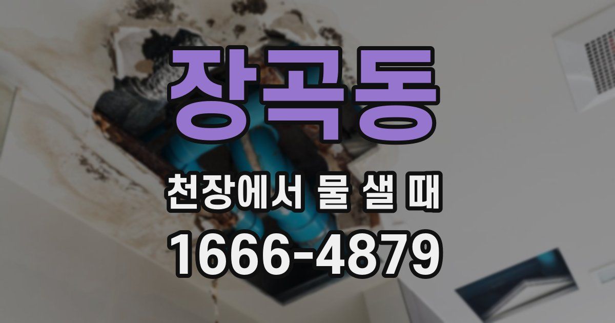 장곡동 천장에서 물 샐 때