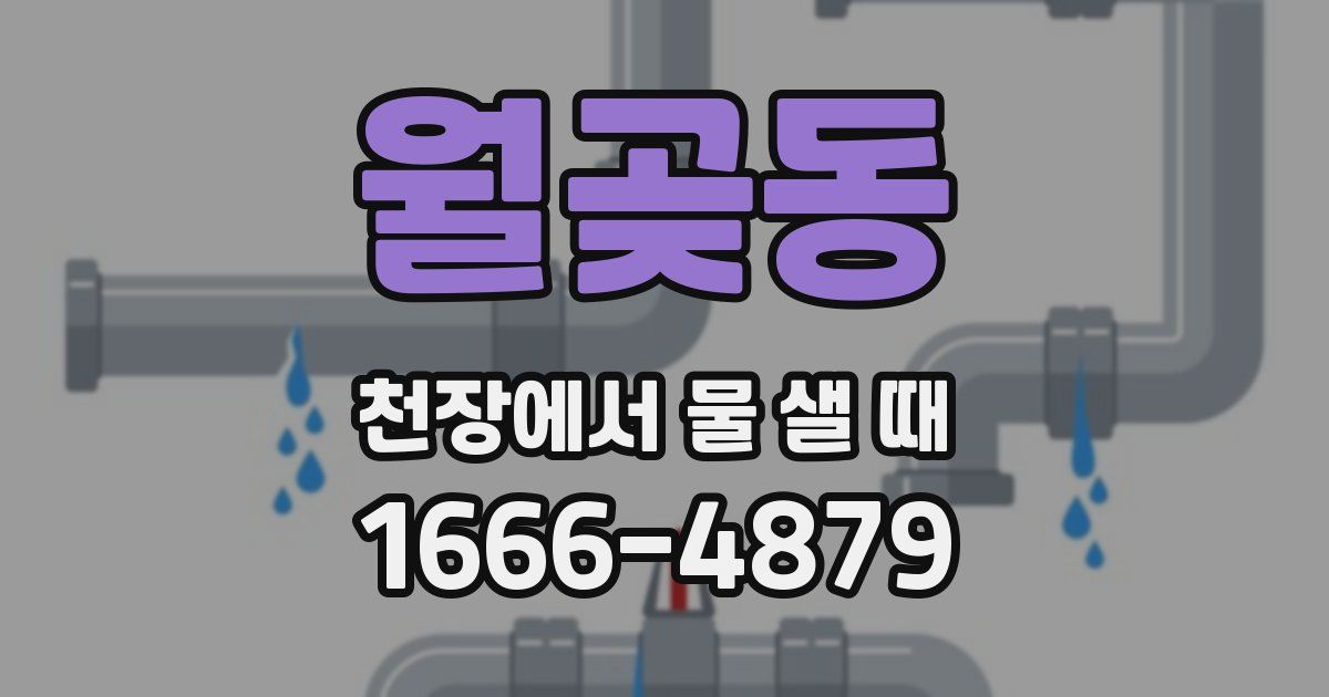 월곶동 천장에서 물 샐 때