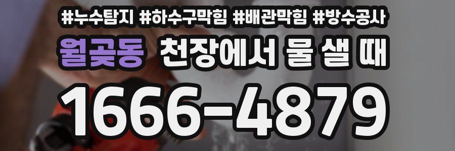 월곶동 천장에서 물 샐 때