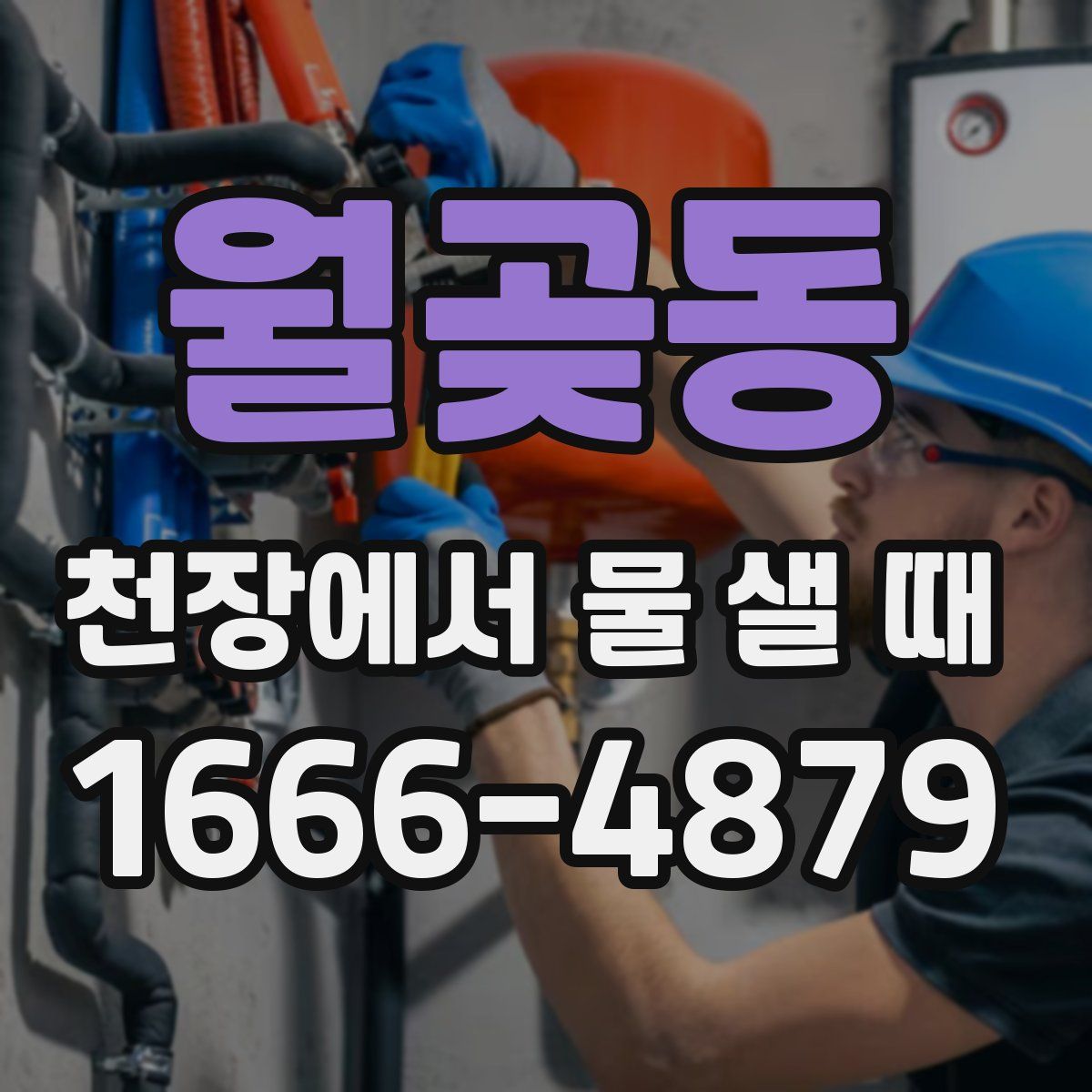 월곶동 천장에서 물 샐 때