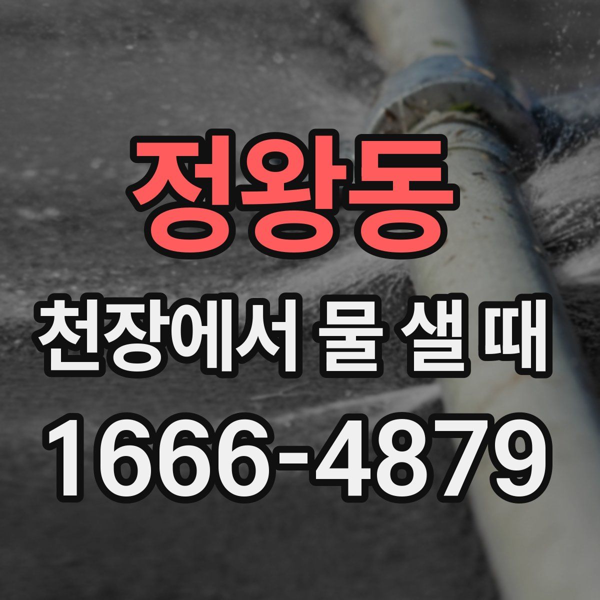 정왕동 천장에서 물 샐 때