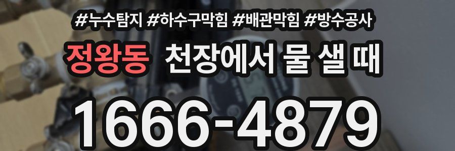 정왕동 천장에서 물 샐 때