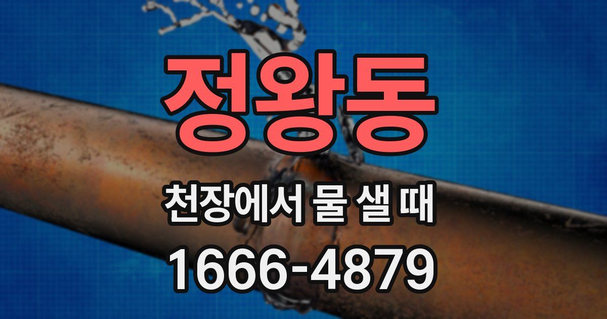 정왕동 천장에서 물 샐 때