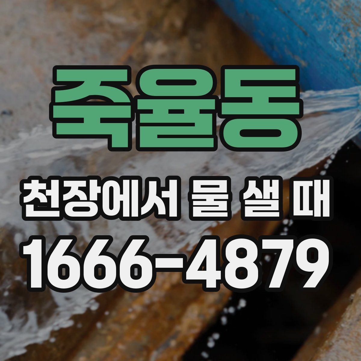 죽율동 천장에서 물 샐 때