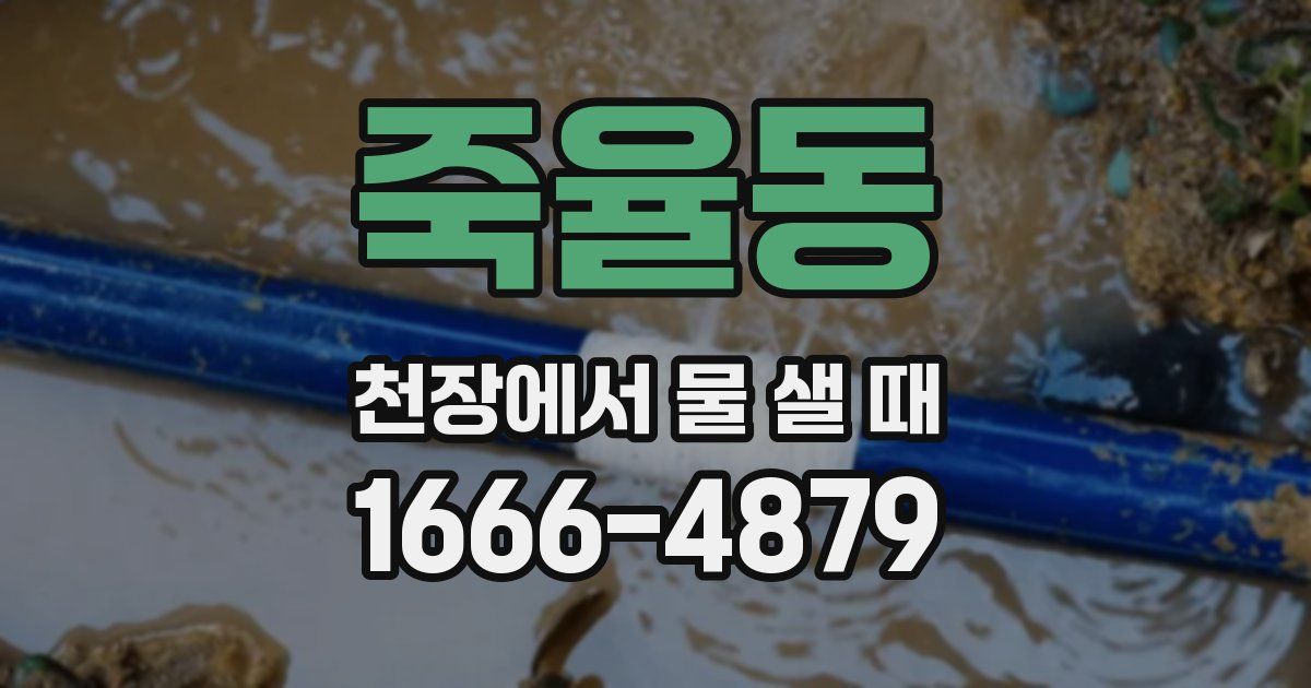 죽율동 천장에서 물 샐 때