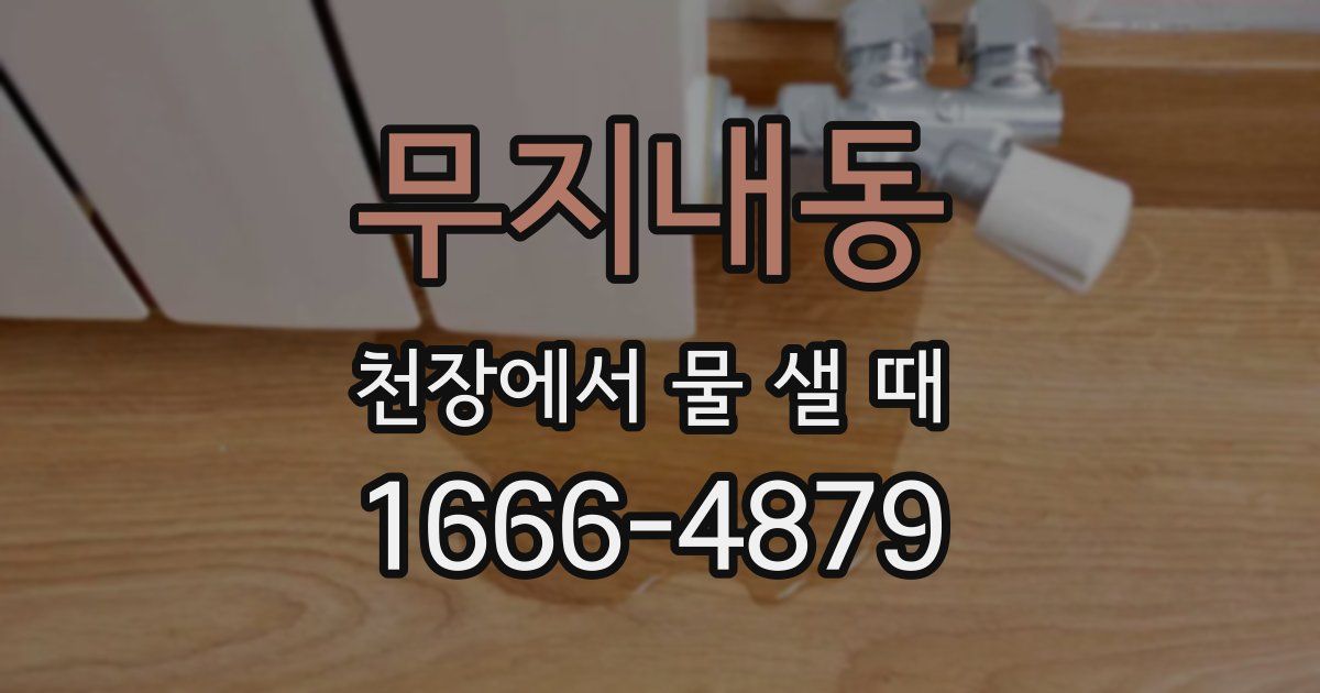 무지내동 천장에서 물 샐 때