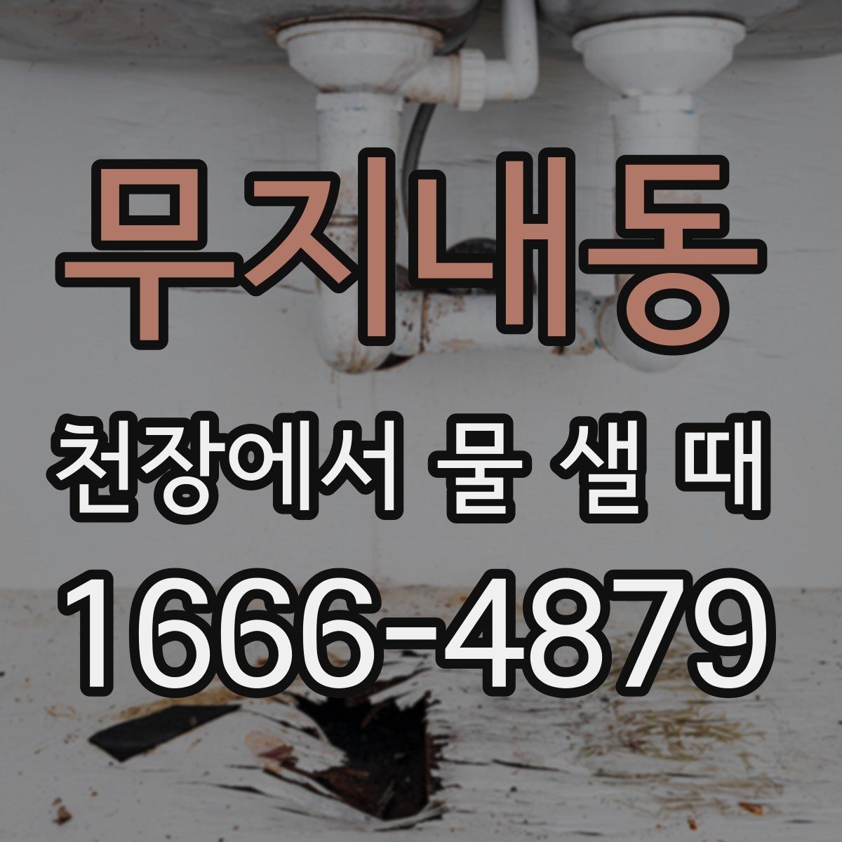 무지내동 천장에서 물 샐 때