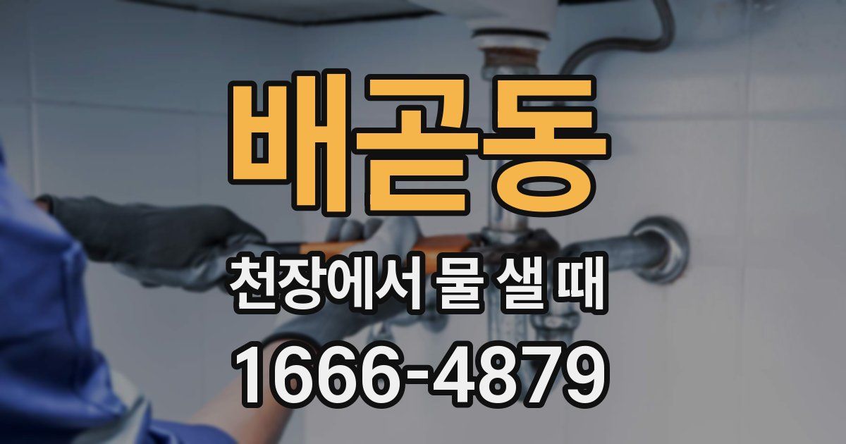 배곧동 천장에서 물 샐 때