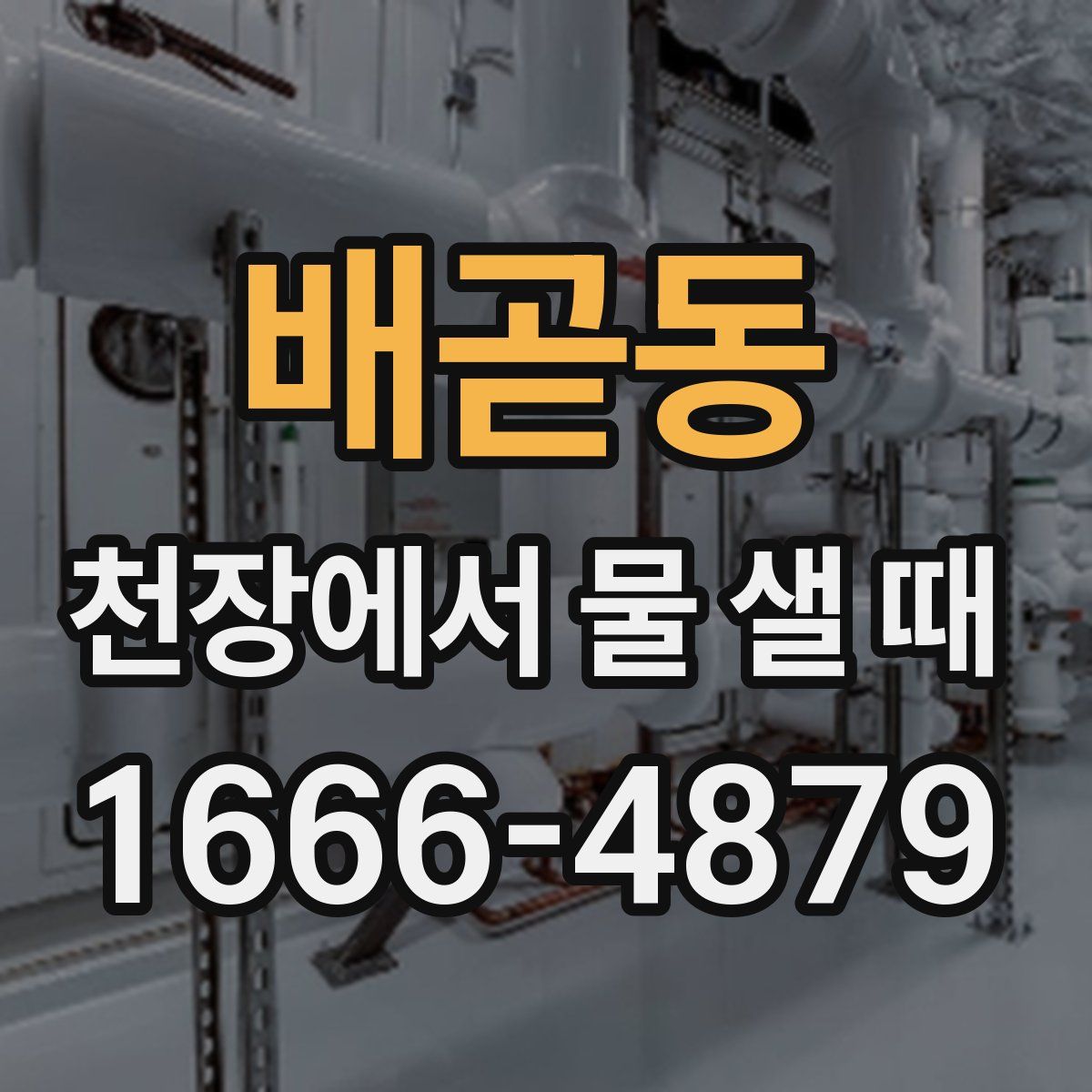 배곧동 천장에서 물 샐 때