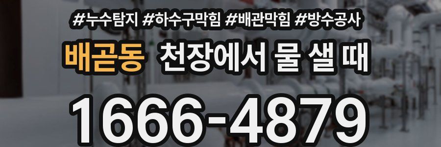 배곧동 천장에서 물 샐 때