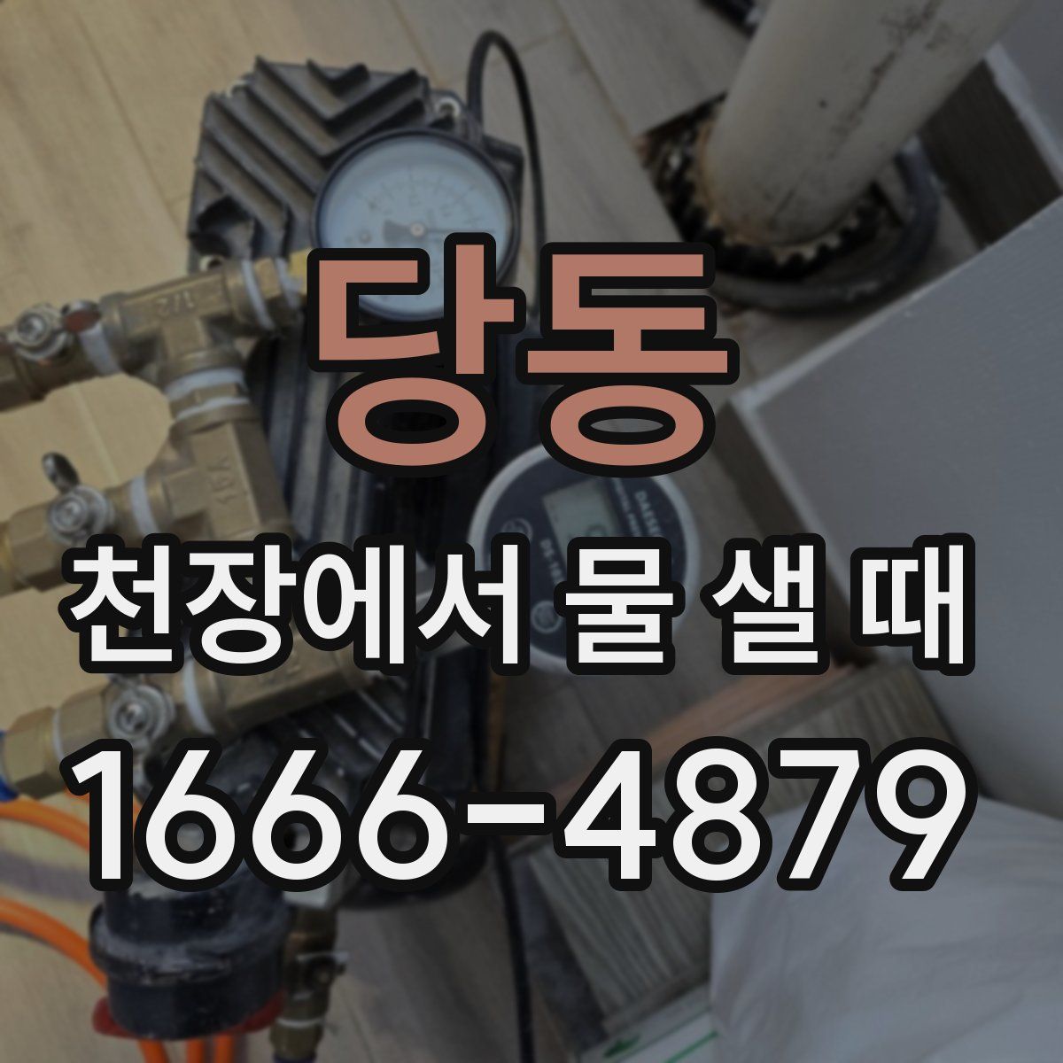 당동 천장에서 물 샐 때