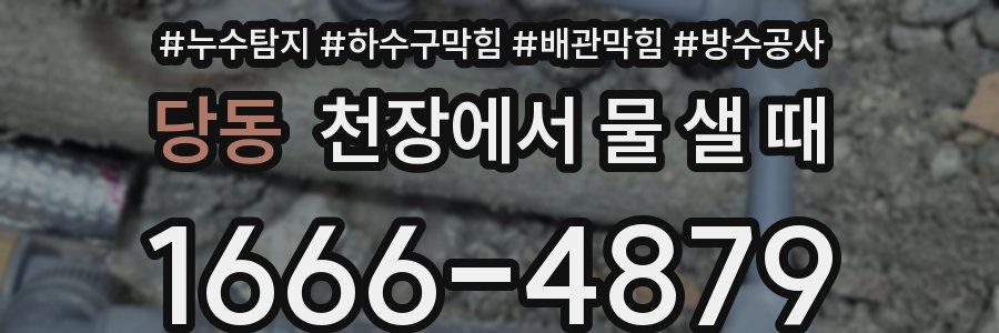 당동 천장에서 물 샐 때
