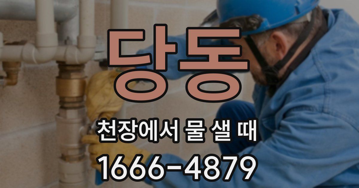 당동 천장에서 물 샐 때