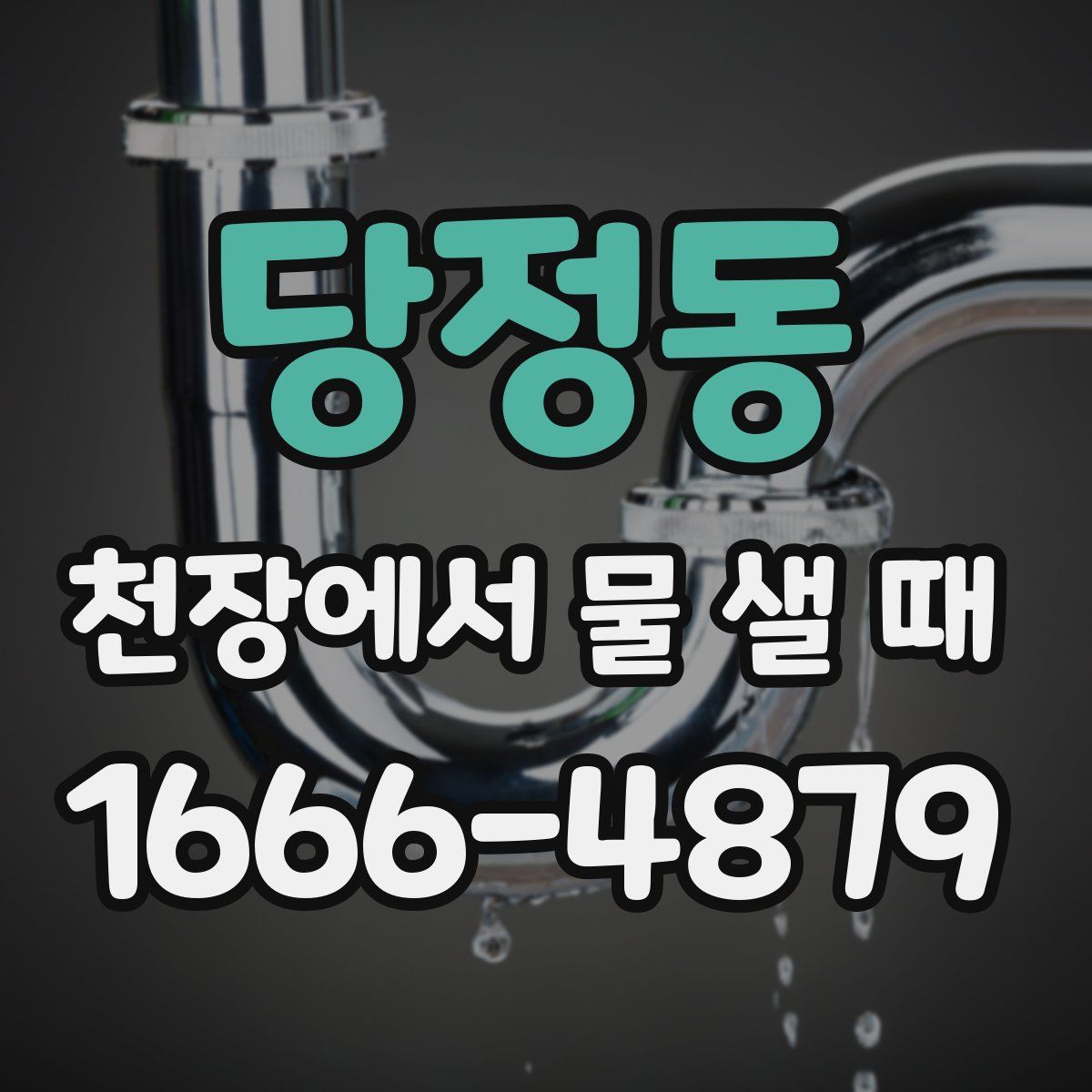 당정동 천장에서 물 샐 때