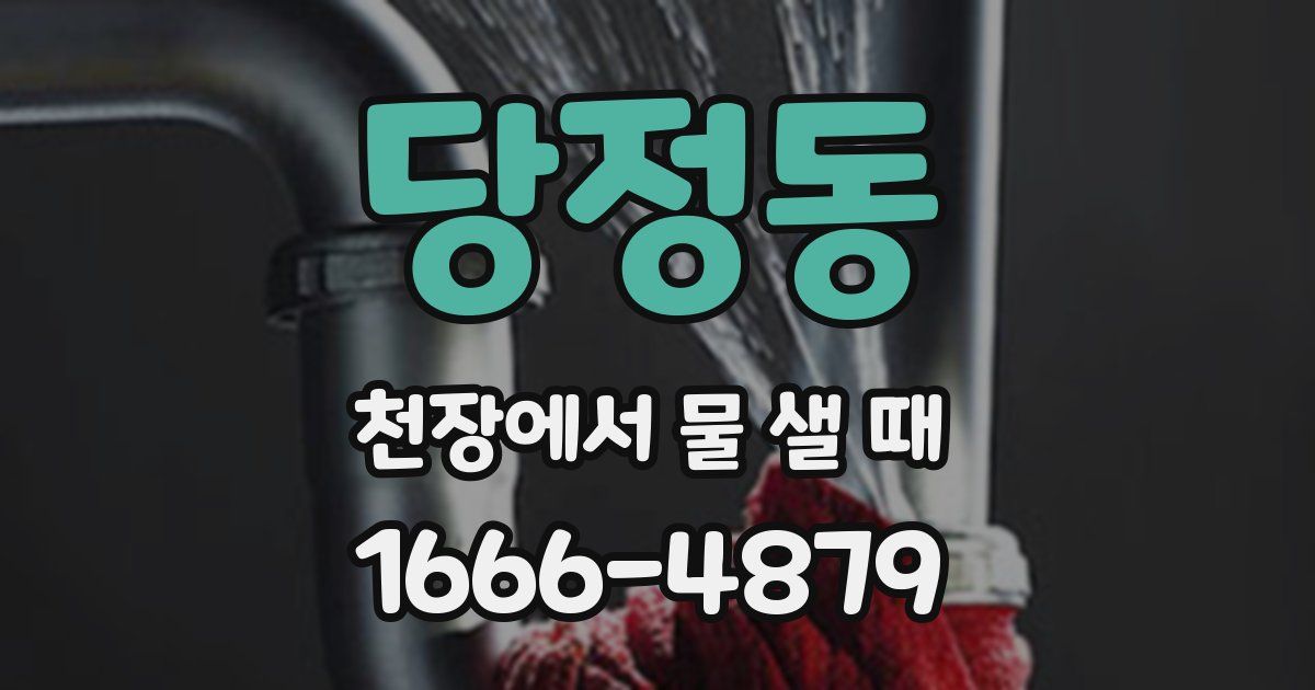 당정동 천장에서 물 샐 때