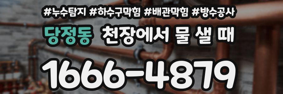 당정동 천장에서 물 샐 때