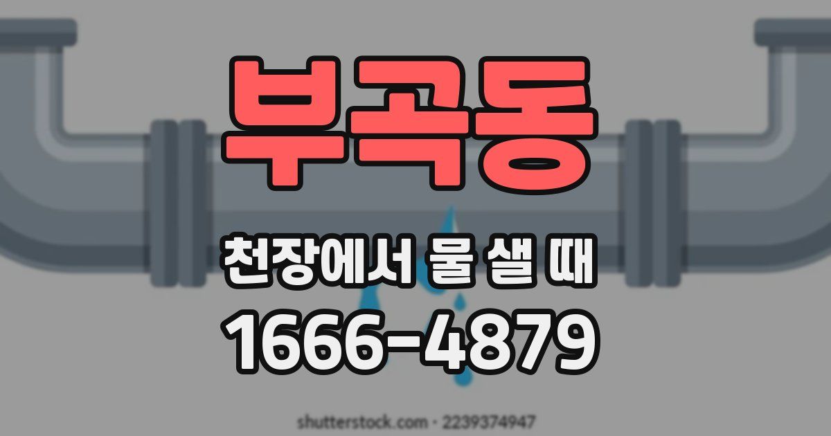 부곡동 천장에서 물 샐 때