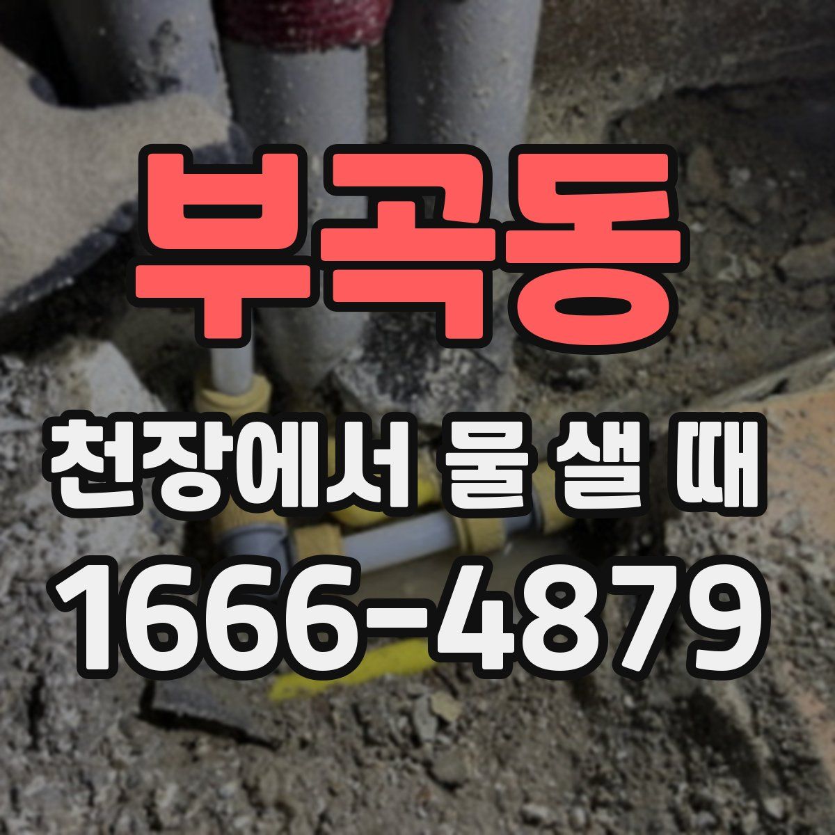 부곡동 천장에서 물 샐 때