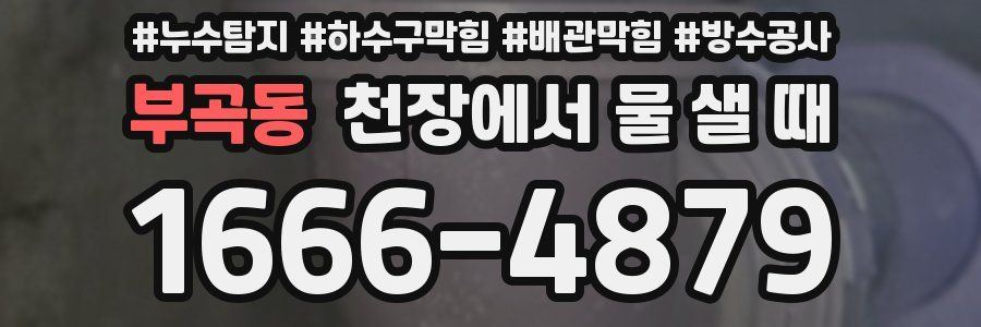 부곡동 천장에서 물 샐 때