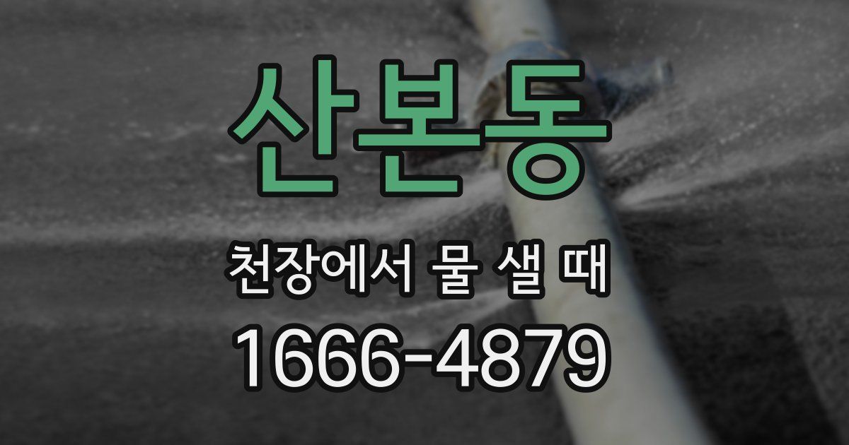 산본동 천장에서 물 샐 때