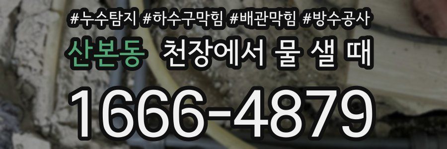 산본동 천장에서 물 샐 때