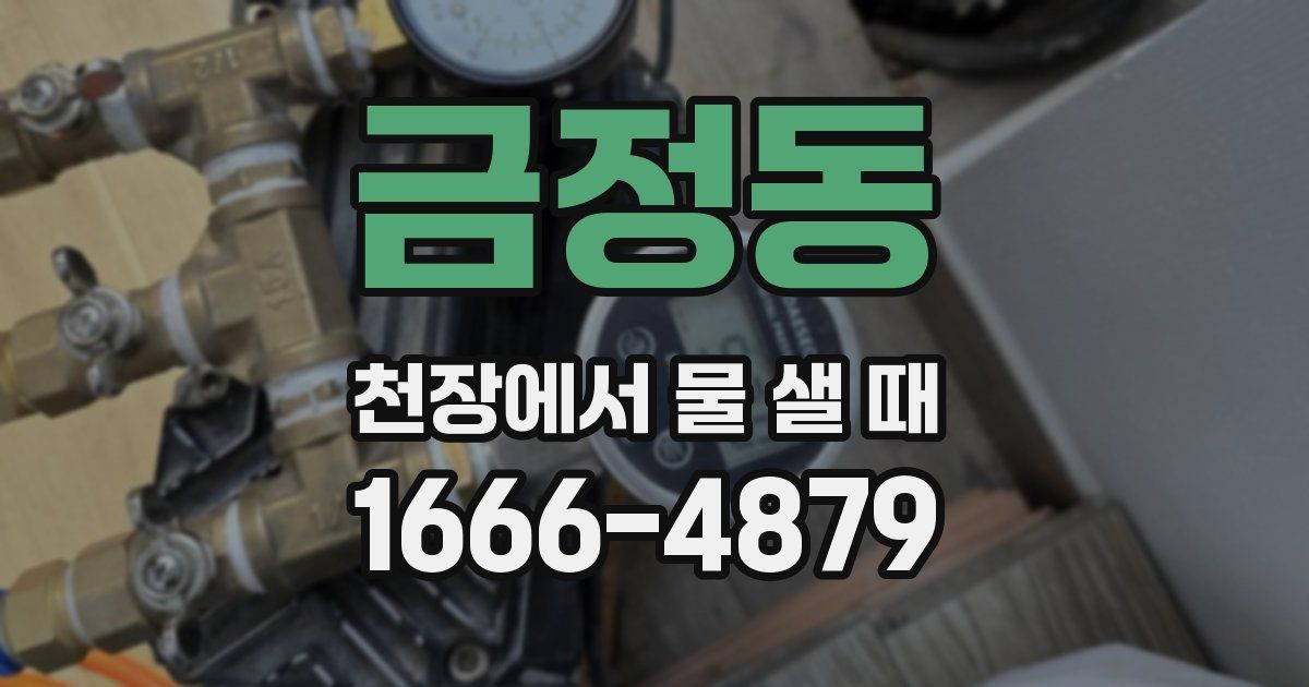 금정동 천장에서 물 샐 때