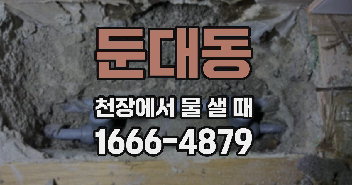 둔대동 천장에서 물 샐 때