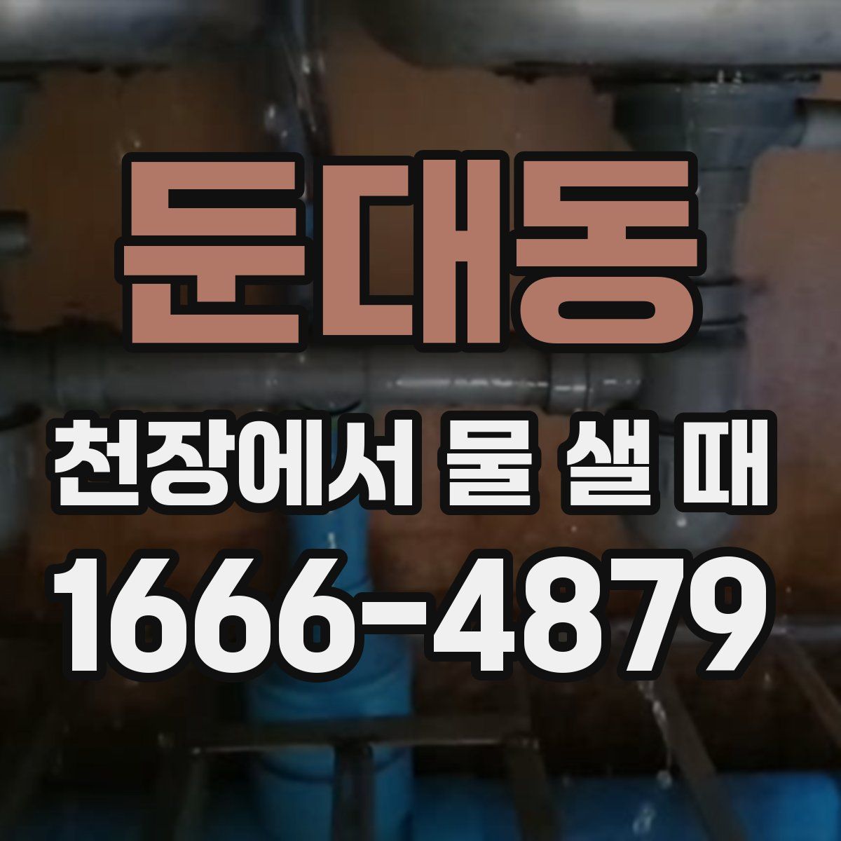 둔대동 천장에서 물 샐 때