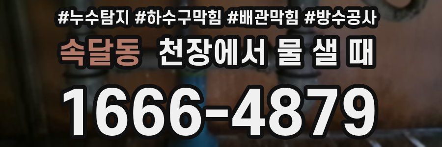 속달동 천장에서 물 샐 때
