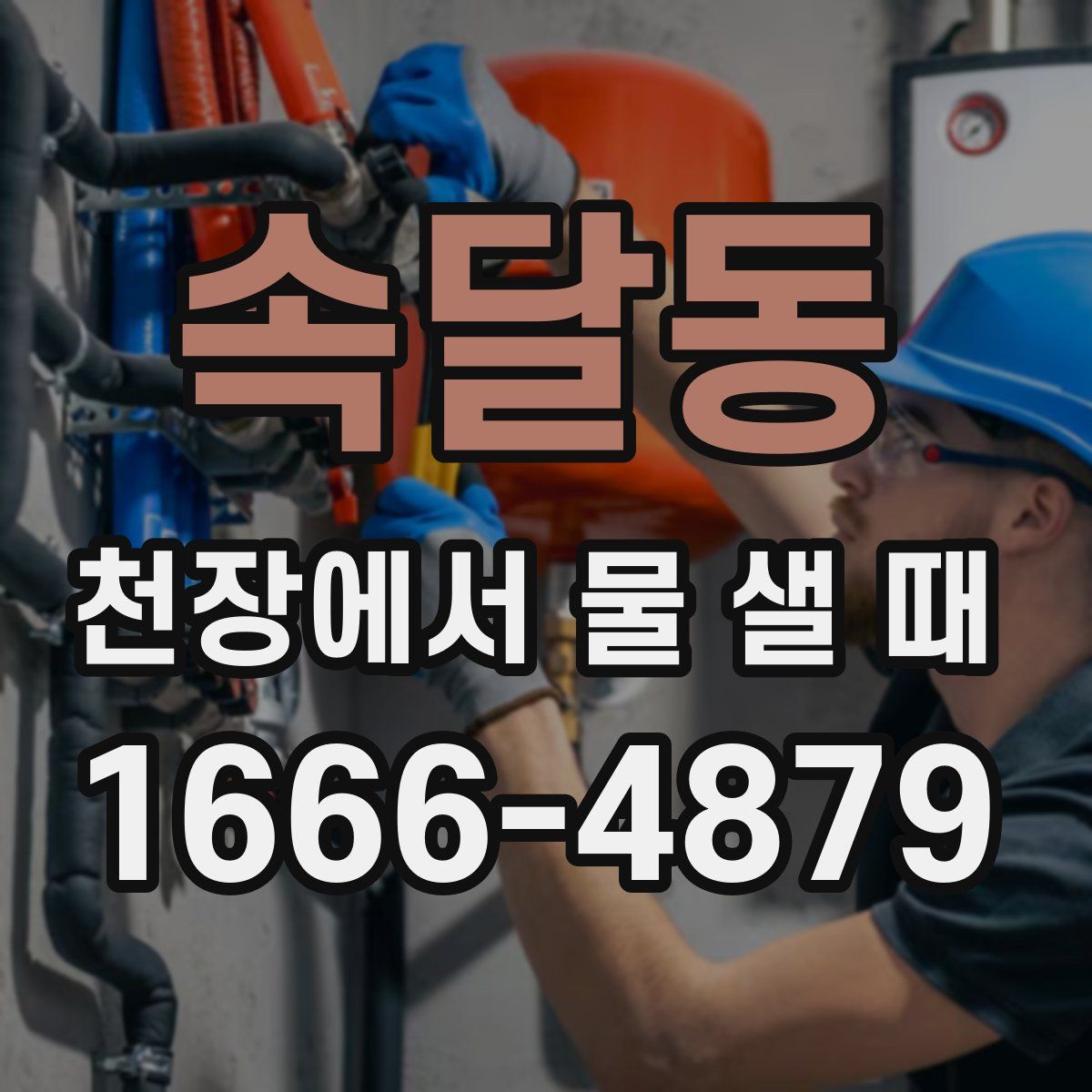 속달동 천장에서 물 샐 때