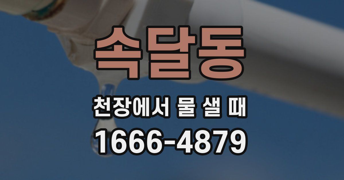 속달동 천장에서 물 샐 때