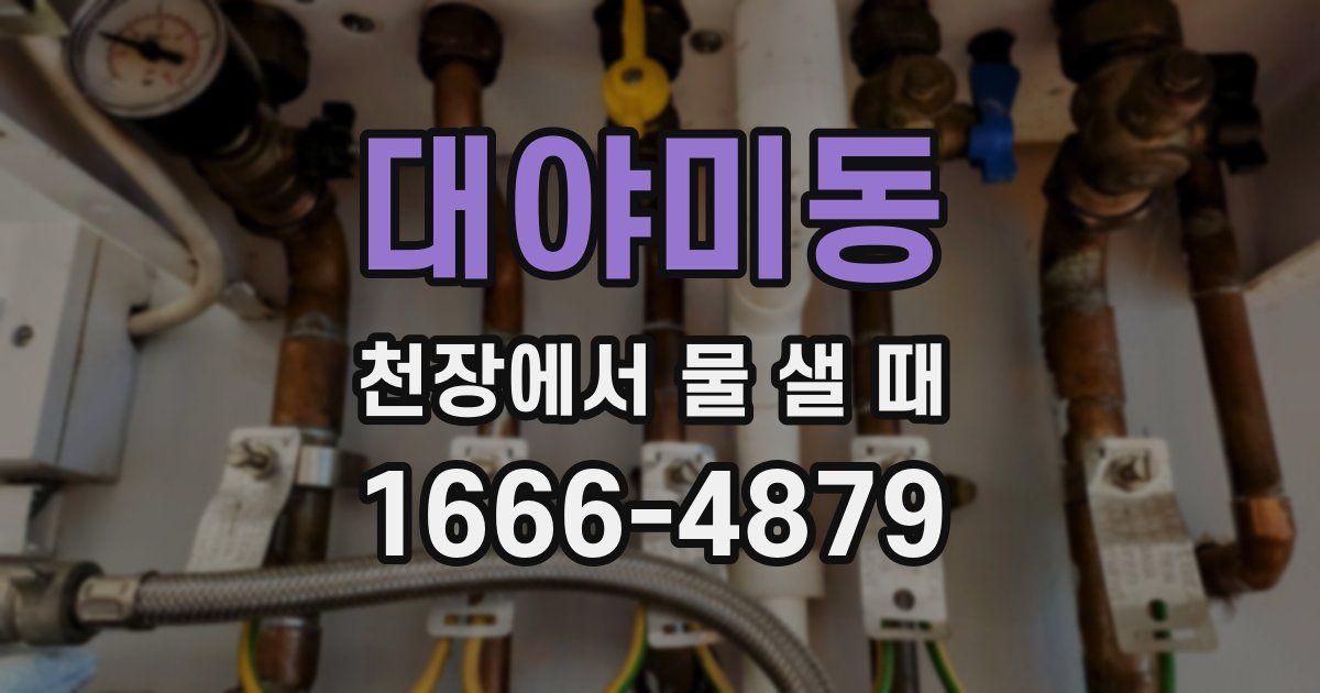 대야미동 천장에서 물 샐 때