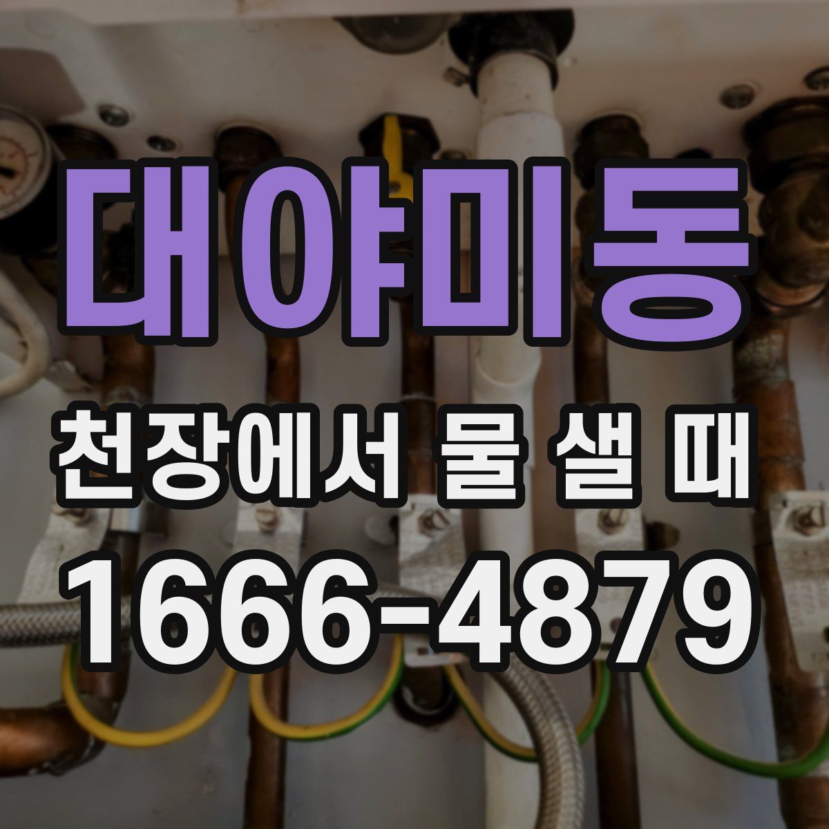 대야미동 천장에서 물 샐 때