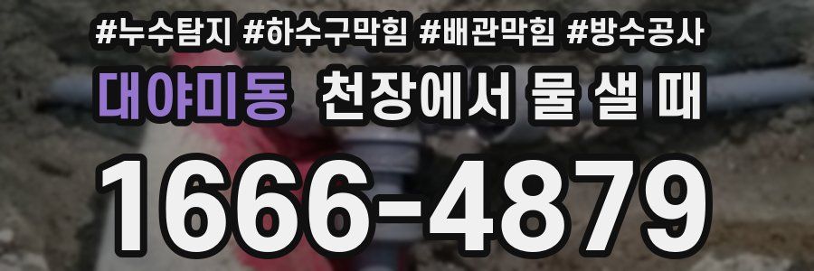 대야미동 천장에서 물 샐 때