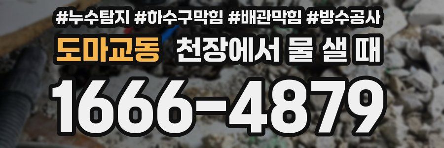도마교동 천장에서 물 샐 때