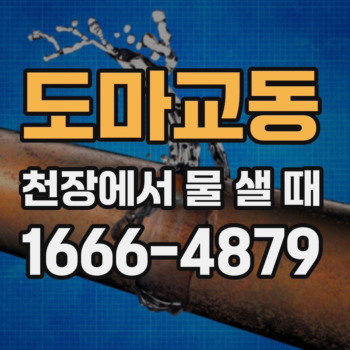 도마교동 천장에서 물 샐 때