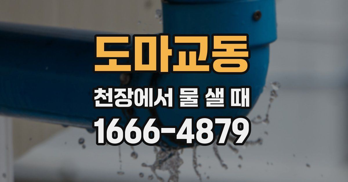 도마교동 천장에서 물 샐 때