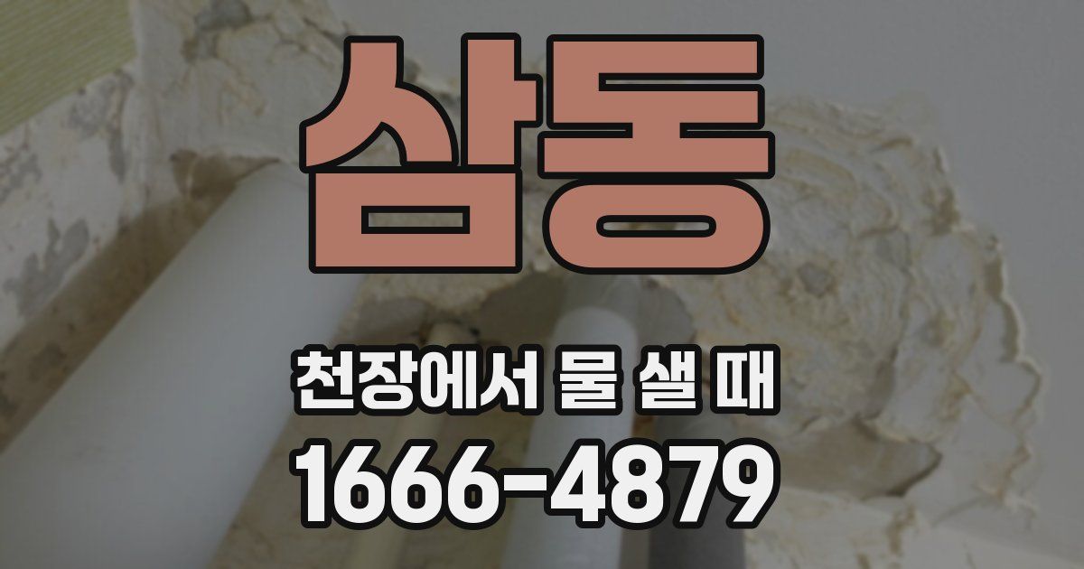 삼동 천장에서 물 샐 때