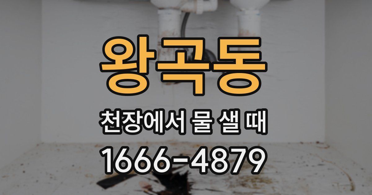 왕곡동 천장에서 물 샐 때