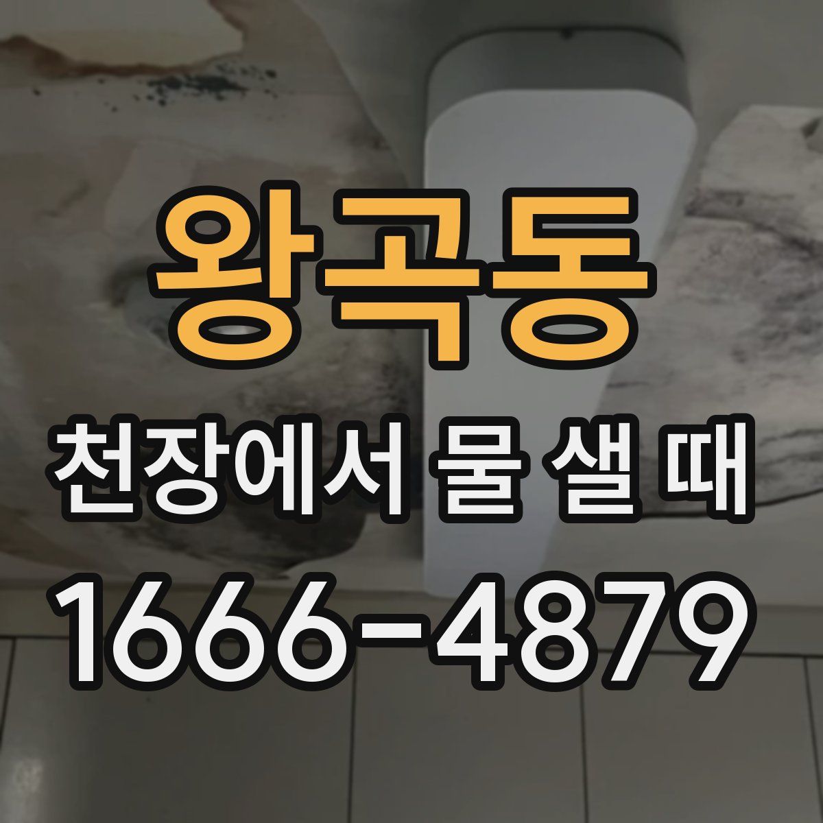 왕곡동 천장에서 물 샐 때