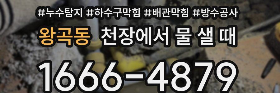왕곡동 천장에서 물 샐 때