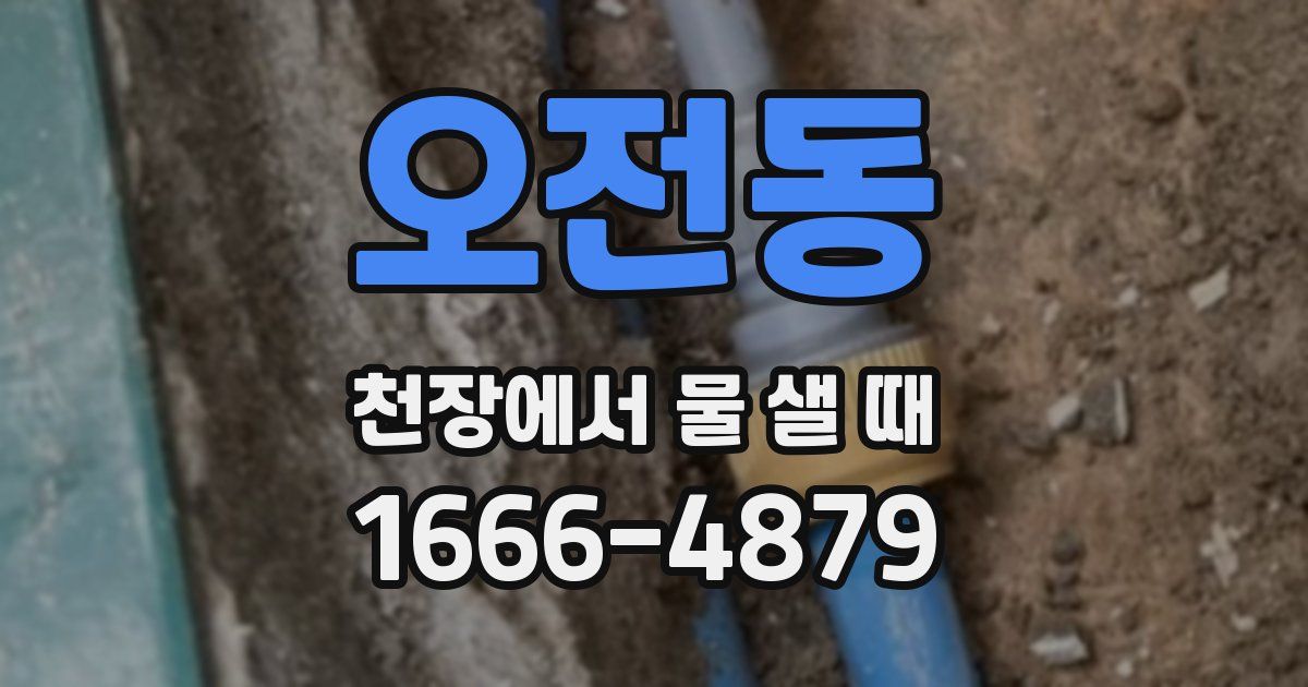 오전동 천장에서 물 샐 때