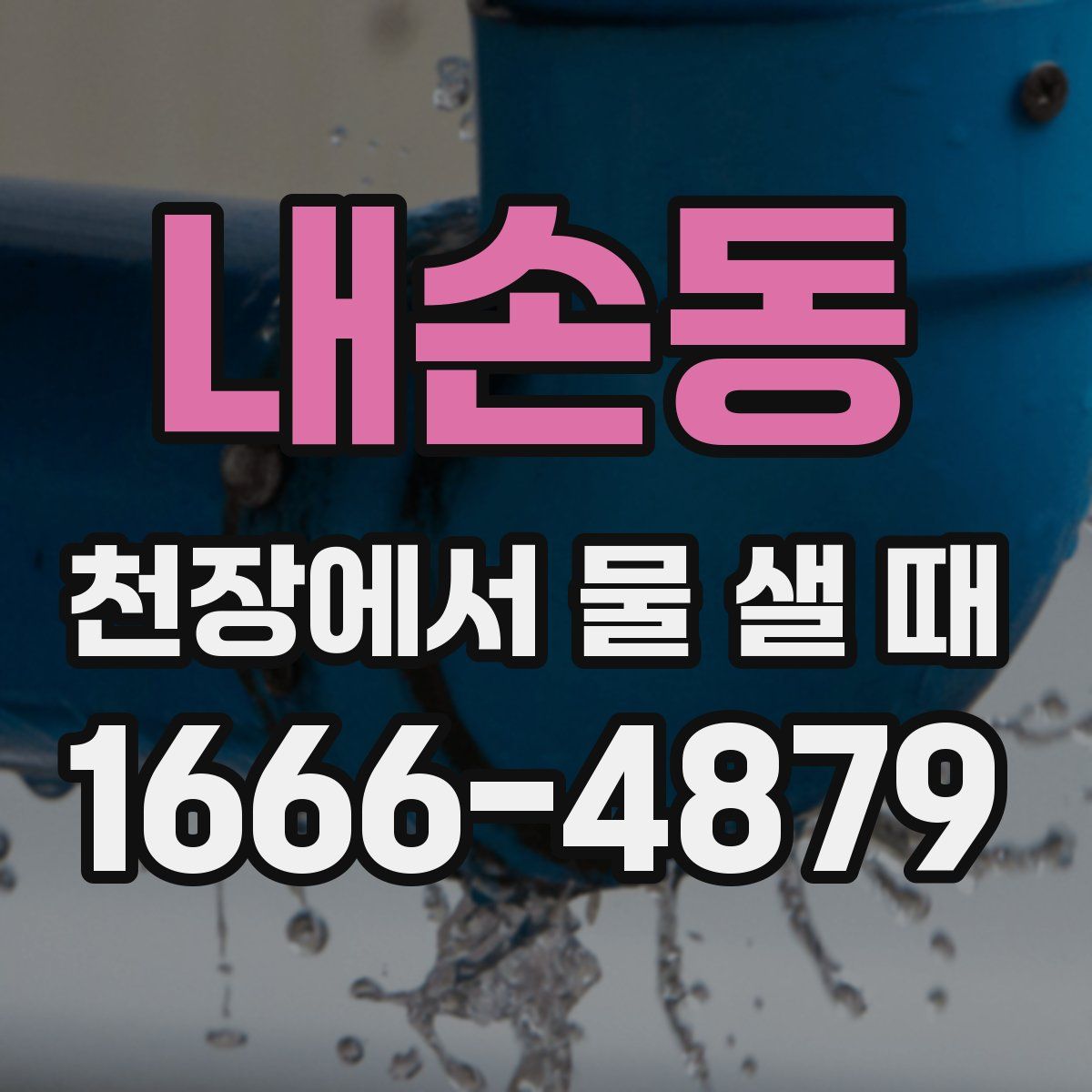 내손동 천장에서 물 샐 때
