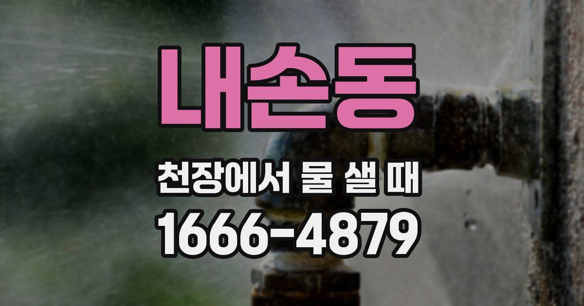 내손동 천장에서 물 샐 때