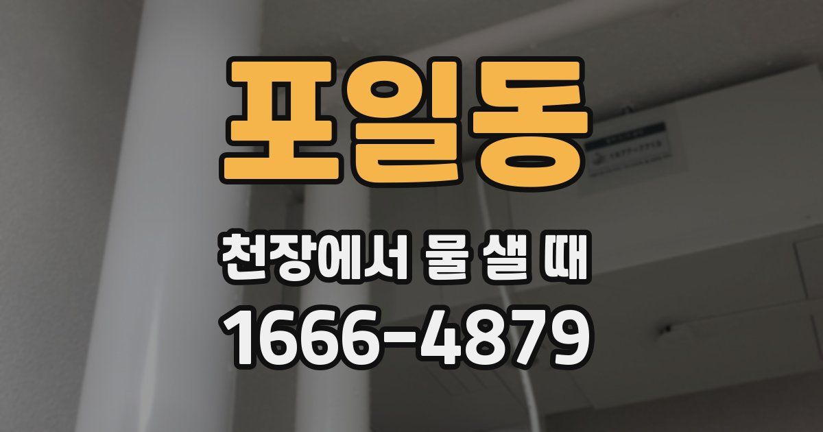 포일동 천장에서 물 샐 때