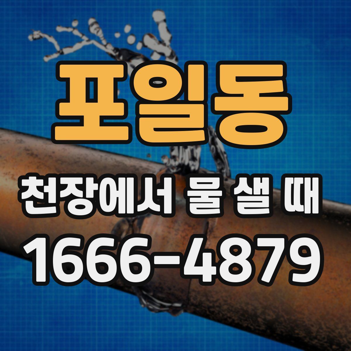 포일동 천장에서 물 샐 때